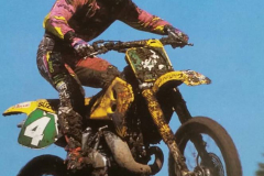 Collin-Dugmore-Suzuki